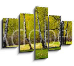 Obraz 5D ptidln - 150 x 100 cm F_GB267520361 - Birch grove on a sunny day.