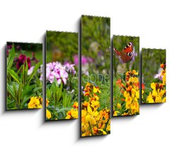 Obraz 5D ptidln - 150 x 100 cm F_GB270234629 - Schmetterling 578