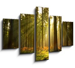 Obraz ptidln 5D - 150 x 100 cm F_GB27621934 - Beautiful Forest - Krsn les