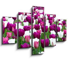 Obraz 5D ptidln - 150 x 100 cm F_GB27832977 - tulipany