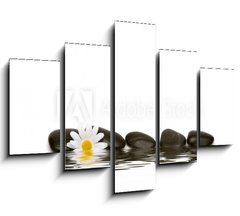 Obraz ptidln 5D - 150 x 100 cm F_GB2881748 - spa stones and daisy