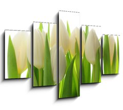 Obraz   Tulips, 150 x 100 cm