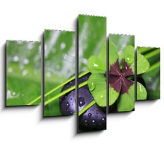 Obraz ptidln 5D - 150 x 100 cm F_GB29036360 - Im Einklang mit der Natur