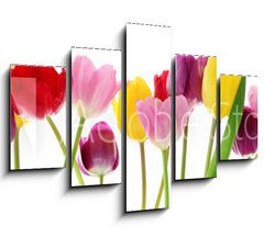 Obraz 5D ptidln - 150 x 100 cm F_GB29490982 - Spring tulip flowers in a row
