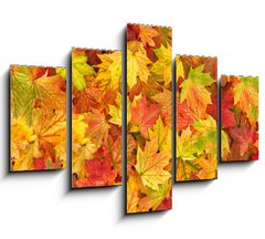 Obraz 5D ptidln - 150 x 100 cm F_GB295252486 - Maple leaves Autumn red yellow green floral background banner