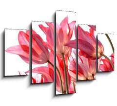 Obraz 5D ptidln - 150 x 100 cm F_GB29639860 - Beautiful tulips.