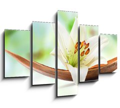 Obraz   Beautiful white lily flower on a coco palm leaf, 150 x 100 cm