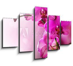 Obraz   Orchid Flower border design, 150 x 100 cm