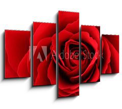 Obraz 5D ptidln - 150 x 100 cm F_GB30035438 - Rote Rose - erven re