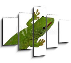 Obraz   lezard vert, 150 x 100 cm