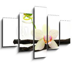 Obraz ptidln 5D - 150 x 100 cm F_GB30233119 - vanilla oil isolated on white background