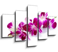 Obraz ptidln 5D - 150 x 100 cm F_GB30514912 - Orchidea