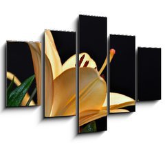 Obraz   pistils d iris, 150 x 100 cm
