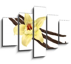 Obraz   Vanilla Bean and Flower (clipping path), 150 x 100 cm