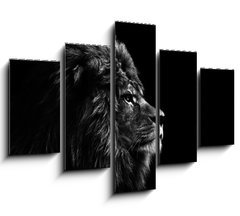 Obraz 5D ptidln - 150 x 100 cm F_GB31175850 - Stunning facial portrait of male lion on black background in bla