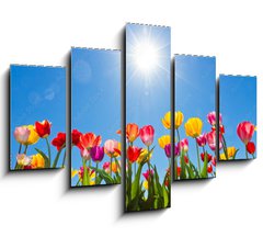 Obraz 5D ptidln - 150 x 100 cm F_GB31333343 - Tulips in the sun