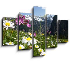 Obraz 5D ptidln - 150 x 100 cm F_GB31412665 - Blumenwiese mit Gebirge im Hintergrund