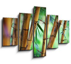 Obraz 5D ptidln - 150 x 100 cm F_GB31531267 - Bamboo forest background