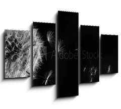 Obraz 5D ptidln - 150 x 100 cm F_GB317106413 - White dandelion on blue