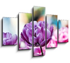 Obraz ptidln 5D - 150 x 100 cm F_GB31786414 - Lila tulpe
