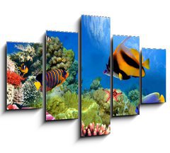 Obraz 5D ptidln - 150 x 100 cm F_GB31880549 - Marine life on the coral reef
