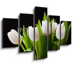 Obraz 5D ptidln - 150 x 100 cm F_GB31897392 - Bouquet of white tulips on black background