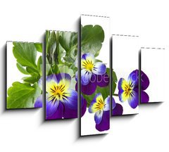 Obraz ptidln 5D - 150 x 100 cm F_GB31960415 - Pansy - Maceka