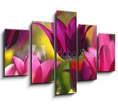 Obraz ptidln 5D - 150 x 100 cm F_GB32429216 - Spring beauty