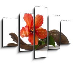 Obraz ptidln 5D - 150 x 100 cm F_GB33085231 - Red hibiscus on a wooden hand statuette