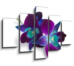 Obraz   orchid, 150 x 100 cm