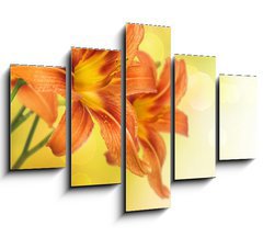 Obraz 5D ptidln - 150 x 100 cm F_GB33384107 - Yellow Lily Flower border design - lut kvtu Lily Flower design