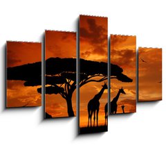 Obraz 5D ptidln - 150 x 100 cm F_GB33526159 - herd of giraffes in the setting sun - stdo iraf na zapadajcm slunci