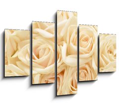Obraz   Beautiful white rose background, 150 x 100 cm