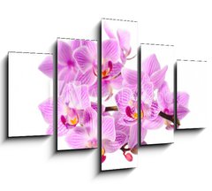 Obraz   red orchid, 150 x 100 cm