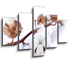 Obraz   cotton flower over branch, 150 x 100 cm