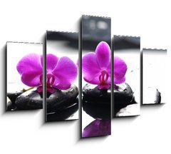 Obraz 5D ptidln - 150 x 100 cm F_GB34882612 - Two orchid and black stone with reflection