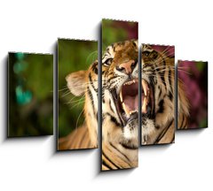Obraz ptidln 5D - 150 x 100 cm F_GB35010447 - The tiger growls
