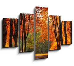 Obraz ptidln 5D - 150 x 100 cm F_GB35345488 - Autumn park in oil painting style