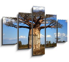 Obraz   big baobab tree of Madagascar, 150 x 100 cm