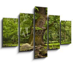Obraz 5D ptidln - 150 x 100 cm F_GB35462578 - alte Eiche