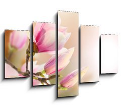 Obraz   magnolia, 150 x 100 cm