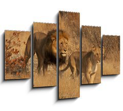 Obraz 5D ptidln - 150 x 100 cm F_GB35669243 - Coppia di Leoni