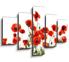 Obraz 5D ptidln - 150 x 100 cm F_GB357867320 - Beautiful red poppy flowers on white background. Banner design