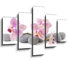 Obraz   Still life with pink orchid with gray stones, 150 x 100 cm