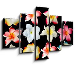 Obraz   fleurs frangipanier fond noir, 150 x 100 cm