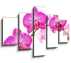 Obraz 5D ptidln - 150 x 100 cm F_GB37898338 - Tralcio di orchidea