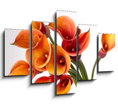 Obraz ptidln 5D - 150 x 100 cm F_GB37918166 - Orange Calla lilies(Zantedeschia) over white