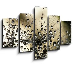 Obraz 5D ptidln - 150 x 100 cm F_GB3821310 - wet dandelion seed