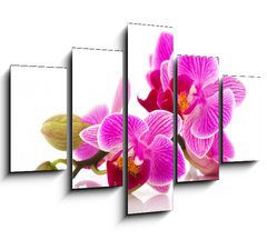 Obraz 5D ptidln - 150 x 100 cm F_GB38877808 - Tropical pink orchid