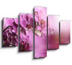 Obraz 5D ptidln - 150 x 100 cm F_GB39704074 - Orchid flowers composition